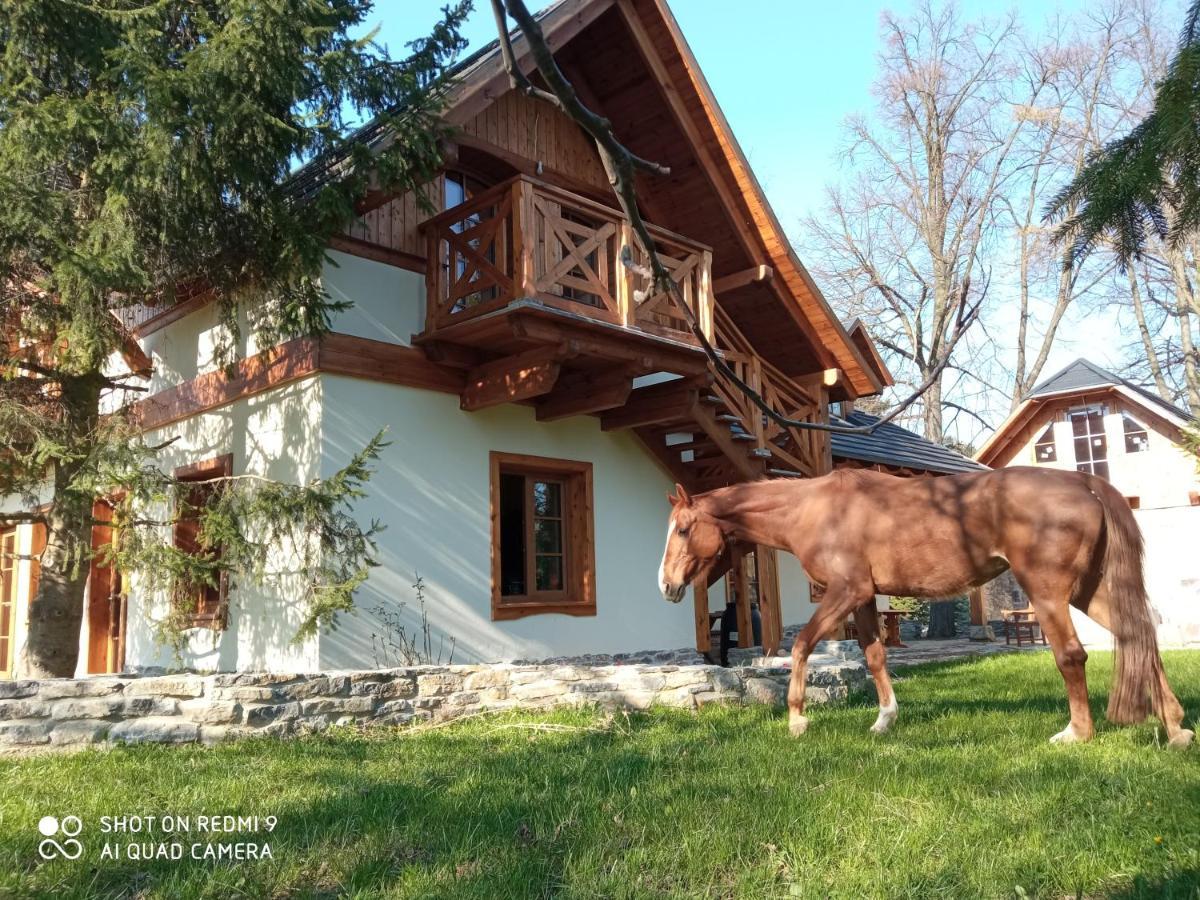 Gniazdo W Parku Hotel Wasniow Exterior photo